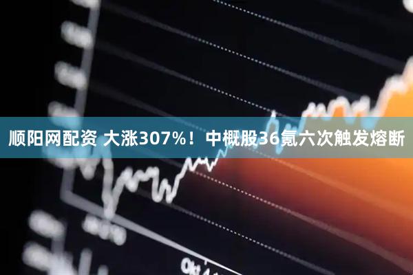 顺阳网配资 大涨307%！中概股36氪六次触发熔断